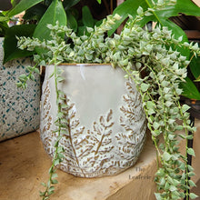 Load image into Gallery viewer, The Leaferie colleen ceramic plant pot. 2 colours black and white planter. front view of design A with plant