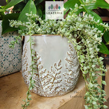 Load image into Gallery viewer, The Leaferie colleen ceramic plant pot. 2 colours black and white planter. front view of design A with plant