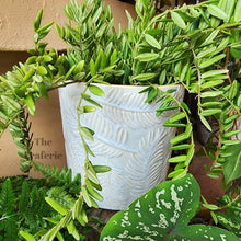 Load image into Gallery viewer, The Leaferie Eilish flowerpot . leaf imprint ceramic planter. front view with plant