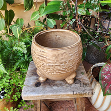 Load image into Gallery viewer, The Leaferie Francois plant pot. ceramic material. top view