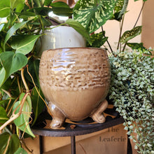 Load image into Gallery viewer, The Leaferie Francois plant pot. ceramic material. front view
