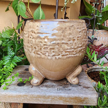 Load image into Gallery viewer, The Leaferie Francois plant pot. ceramic material. front view