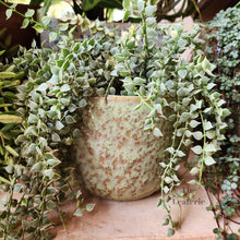Load image into Gallery viewer, The Leaferie Gwenhael Greenish rough texture planter. ceramic material