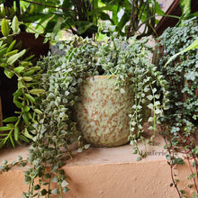 Load image into Gallery viewer, The Leaferie Gwenhael Greenish rough texture planter. ceramic material