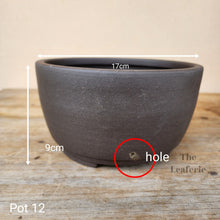 Load image into Gallery viewer, As-Is Pots Batch March 2023 (12 items)