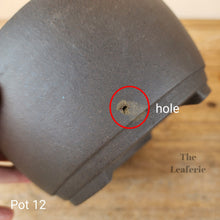 Load image into Gallery viewer, As-Is Pots Batch March 2023 (12 items)