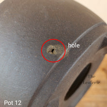 Load image into Gallery viewer, As-Is Pots Batch March 2023 (12 items)