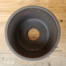 Load image into Gallery viewer, As-Is Pots Batch March 2023 (12 items)