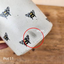 Load image into Gallery viewer, As-Is Pots Batch March 2023 (12 items)