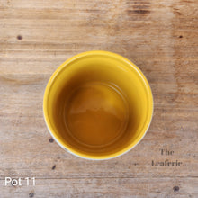 Load image into Gallery viewer, As-Is Pots Batch March 2023 (12 items)