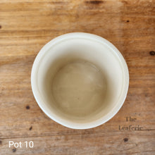 Load image into Gallery viewer, As-Is Pots Batch March 2023 (12 items)