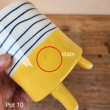 Load image into Gallery viewer, As-Is Pots Batch March 2023 (12 items)