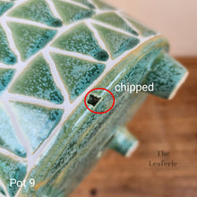 Load image into Gallery viewer, As-Is Pots Batch March 2023 (12 items)