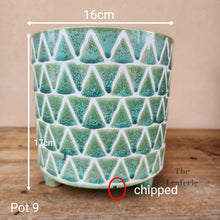 Load image into Gallery viewer, As-Is Pots Batch March 2023 (12 items)