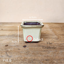 Load image into Gallery viewer, As-Is Pots Batch March 2023 (12 items)