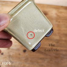 Load image into Gallery viewer, As-Is Pots Batch March 2023 (12 items)