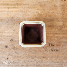 Load image into Gallery viewer, As-Is Pots Batch March 2023 (12 items)