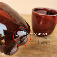 Load image into Gallery viewer, As-Is Pots Batch March 2023 (12 items)