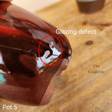 Load image into Gallery viewer, As-Is Pots Batch March 2023 (12 items)