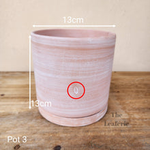 Load image into Gallery viewer, As-Is Pots Batch March 2023 (12 items)