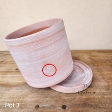 Load image into Gallery viewer, As-Is Pots Batch March 2023 (12 items)
