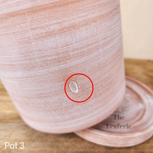 Load image into Gallery viewer, As-Is Pots Batch March 2023 (12 items)