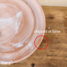 Load image into Gallery viewer, As-Is Pots Batch March 2023 (12 items)