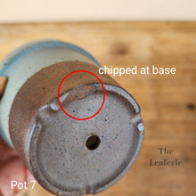 Load image into Gallery viewer, As-Is Pots Batch March 2023 (12 items)