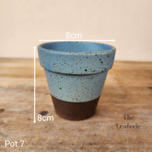 Load image into Gallery viewer, As-Is Pots Batch March 2023 (12 items)