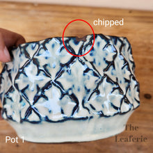 Load image into Gallery viewer, As-Is Pots Batch March 2023 (12 items)