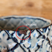Load image into Gallery viewer, As-Is Pots Batch March 2023 (12 items)