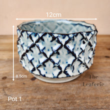 Load image into Gallery viewer, As-Is Pots Batch March 2023 (12 items)