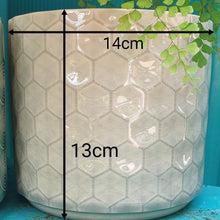 Load image into Gallery viewer, The Leaferie Diamante pot. ceramic 3 colours grey, blush and blue . front view size