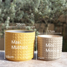 Load image into Gallery viewer, The Leaferie Corsica plant pot. 2 sizes. front view of mustard and mini mocca