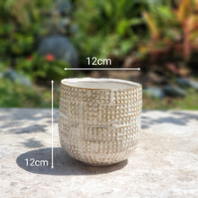 Load image into Gallery viewer, The Leaferie cleopatra plant pot front view size
