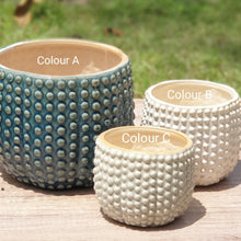 Load image into Gallery viewer, Nicoya Flowerpot