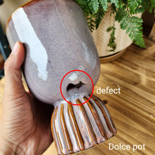 Load image into Gallery viewer, As-Is Pots Batch November 2022 (6 Items)