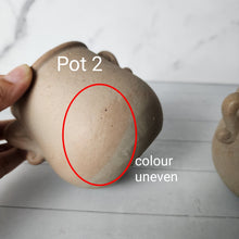 Load image into Gallery viewer, As-Is Pots Batch December 2022 (7 items)