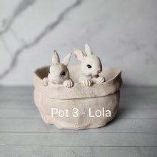 Load image into Gallery viewer, As-Is Pots Batch December 2022 (7 items)