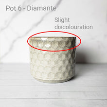 Load image into Gallery viewer, As-Is Pots Batch December 2022 (7 items)