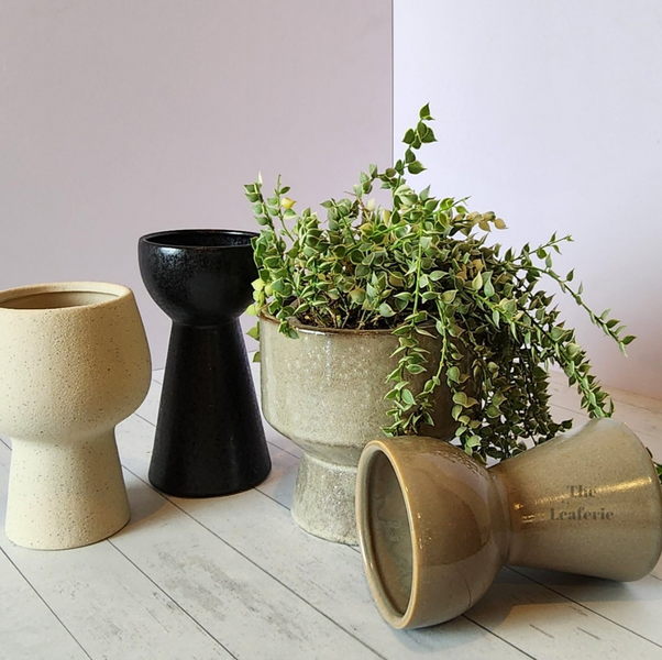 Choosing the Ideal Ceramic Flowerpot for Your Plants
