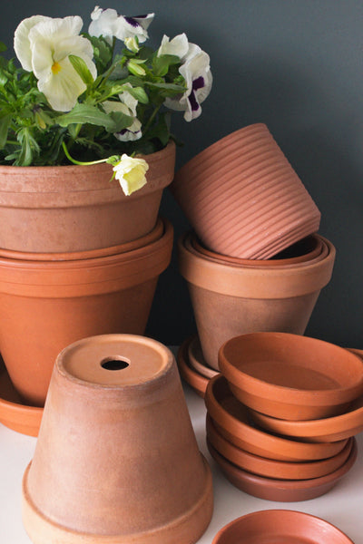 Unlocking the Secrets of Healthier Plants: The Power of Air-Circulating Plant Pots