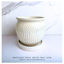 Load image into Gallery viewer, The Leaferie Astra pot . 4 colors. ceramic pot.
