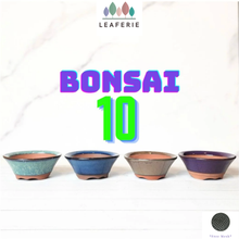 Load image into Gallery viewer, Petit Bonsai Flowerpot (Series 10)
