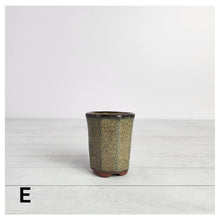 Load image into Gallery viewer, Petit Bonsai Pot (Series 7)
