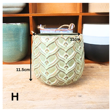Load image into Gallery viewer, Lyon Hanging Flowerpot (Series 5)
