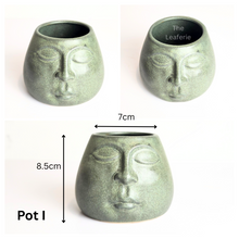 Load image into Gallery viewer, Mini Flowerpots (Series 10) 10cm
