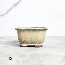 Load image into Gallery viewer, Bonsai Flowerpot (Series 24) Rectangular
