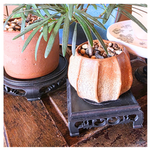 Load image into Gallery viewer, Qing Plastic Trays / stand (6 sizes)
