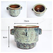 Load image into Gallery viewer, Petit Flowerpots (Series 17)

